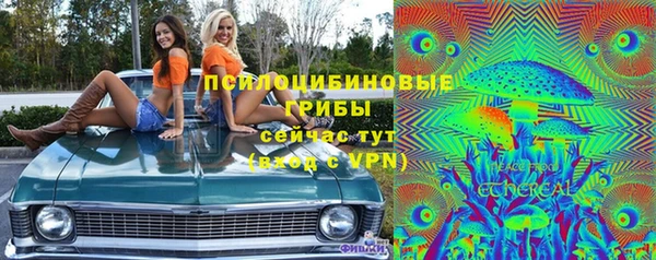 меф Дмитриев