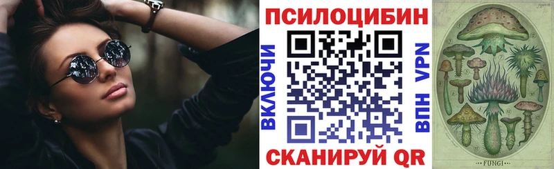 KRAKEN ссылка  Каргополь  Псилоцибиновые грибы GOLDEN TEACHER 